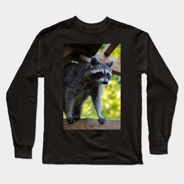Pretty Raccoon Girl Long Sleeve T-Shirt by astonishingemma